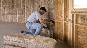 Best Insulation Removal  in Wellington, FL